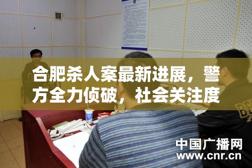 合肥殺人案最新進(jìn)展，警方全力偵破，社會(huì)關(guān)注度高