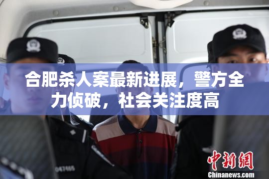合肥殺人案最新進(jìn)展，警方全力偵破，社會(huì)關(guān)注度高