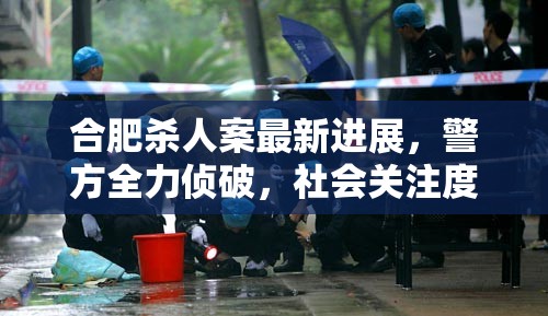 合肥殺人案最新進(jìn)展，警方全力偵破，社會(huì)關(guān)注度高