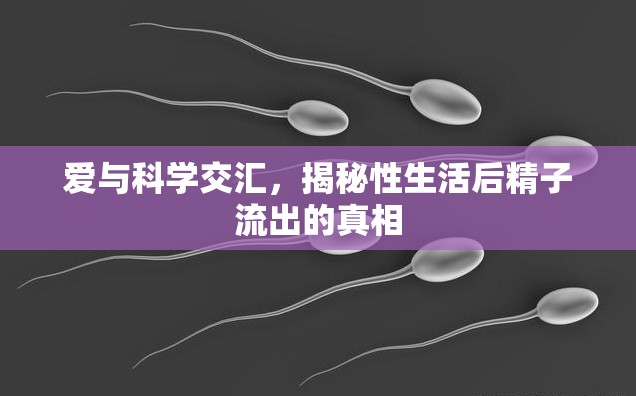愛與科學(xué)交匯，揭秘性生活后精子流出的真相