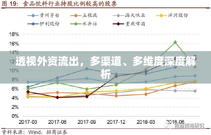 透視外資流出，多渠道、多維度深度解析