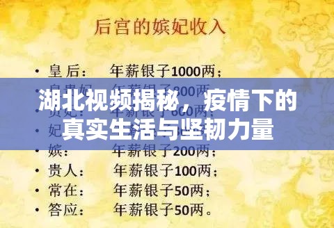 湖北視頻揭秘，疫情下的真實生活與堅韌力量