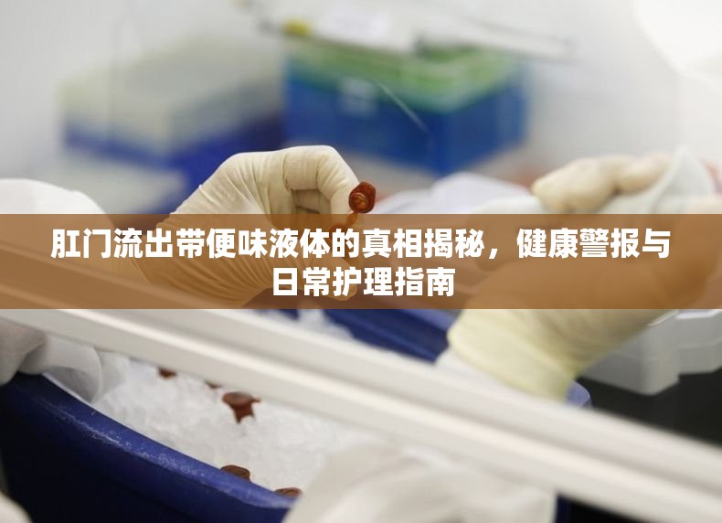 肛門流出帶便味液體的真相揭秘，健康警報與日常護理指南