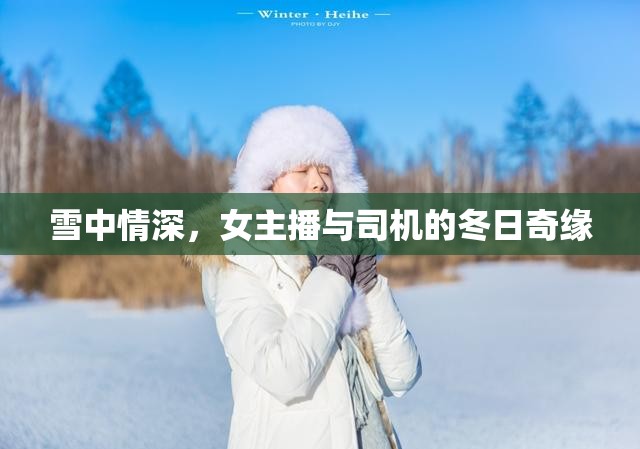 雪中情深，女主播與司機(jī)的冬日奇緣