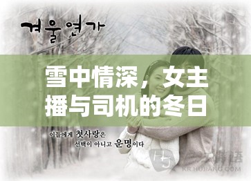 雪中情深，女主播與司機(jī)的冬日奇緣