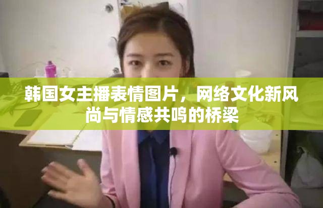 韓國女主播表情圖片，網(wǎng)絡(luò)文化新風(fēng)尚與情感共鳴的橋梁