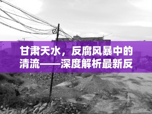 甘肅天水，反腐風(fēng)暴中的清流——深度解析最新反貪行動(dòng)