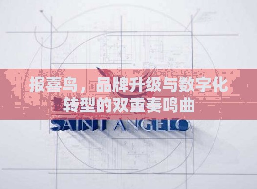 報(bào)喜鳥(niǎo)，品牌升級(jí)與數(shù)字化轉(zhuǎn)型的雙重奏鳴曲