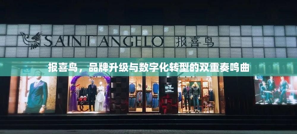 報(bào)喜鳥(niǎo)，品牌升級(jí)與數(shù)字化轉(zhuǎn)型的雙重奏鳴曲
