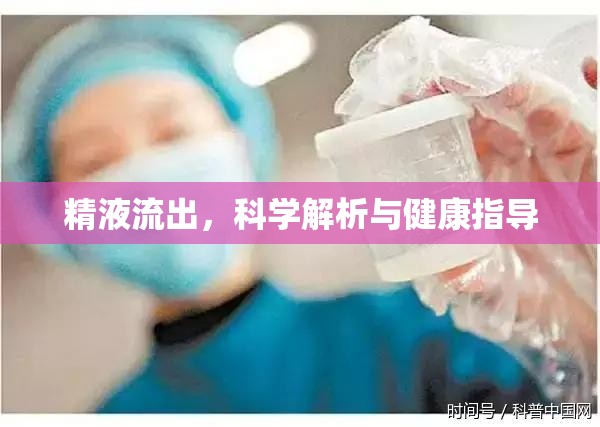 精液流出，科學(xué)解析與健康指導(dǎo)