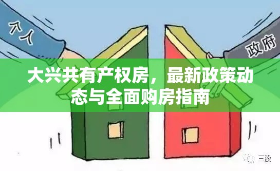 大興共有產(chǎn)權(quán)房，最新政策動(dòng)態(tài)與全面購(gòu)房指南