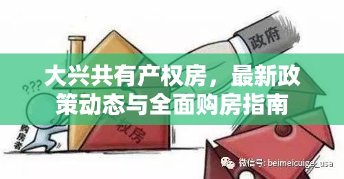 大興共有產(chǎn)權(quán)房，最新政策動(dòng)態(tài)與全面購(gòu)房指南