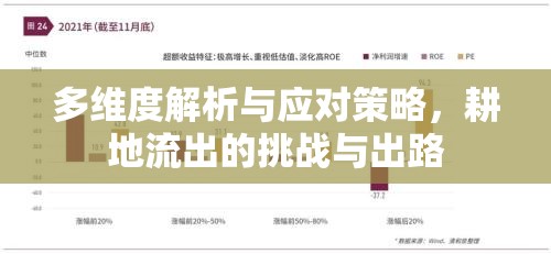 多維度解析與應(yīng)對策略，耕地流出的挑戰(zhàn)與出路