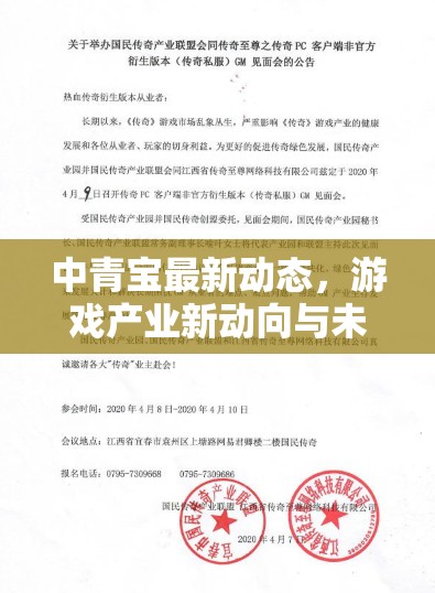 中青寶最新動(dòng)態(tài)，游戲產(chǎn)業(yè)新動(dòng)向與未來(lái)展望