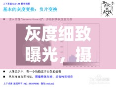 灰度細(xì)致曝光，攝影藝術(shù)中的微妙平衡探索