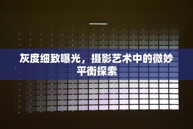灰度細(xì)致曝光，攝影藝術(shù)中的微妙平衡探索