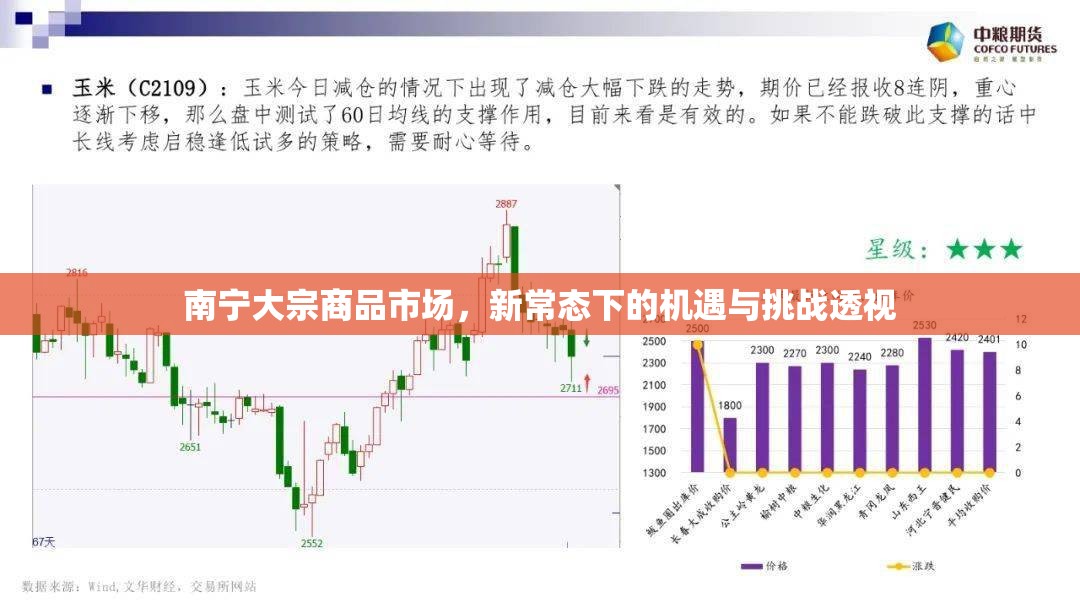 南寧大宗商品市場(chǎng)，新常態(tài)下的機(jī)遇與挑戰(zhàn)透視