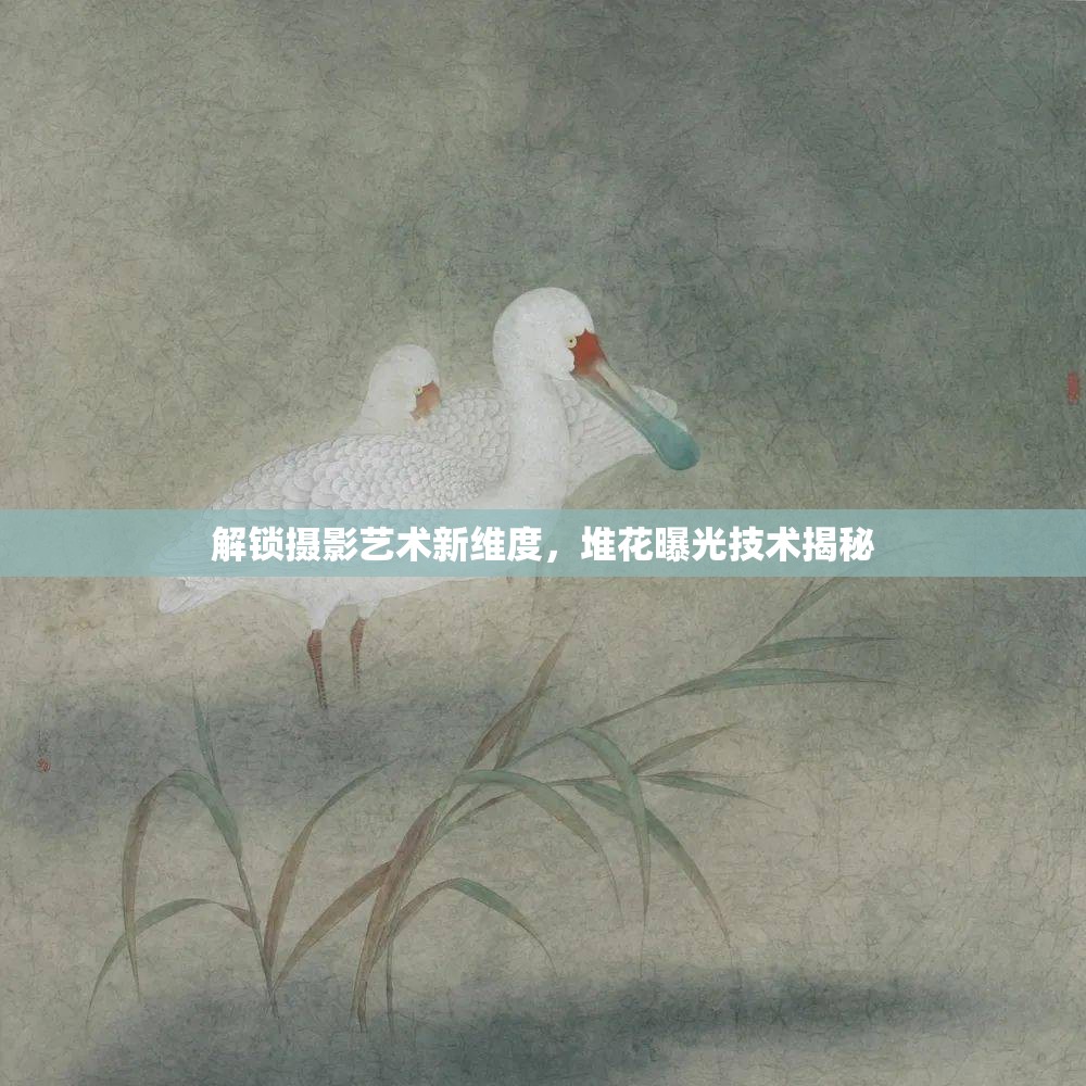 解鎖攝影藝術(shù)新維度，堆花曝光技術(shù)揭秘