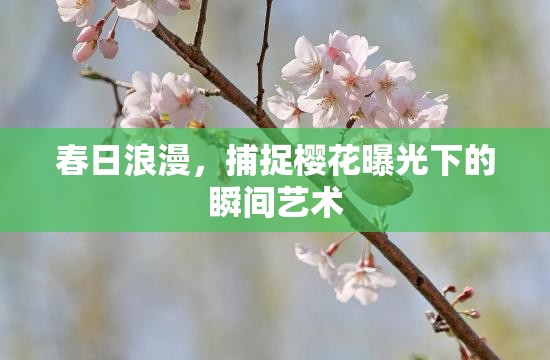 春日浪漫，捕捉櫻花曝光下的瞬間藝術(shù)