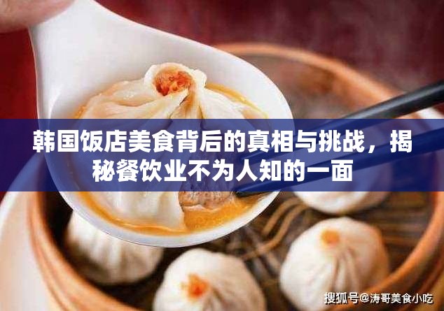 韓國飯店美食背后的真相與挑戰(zhàn)，揭秘餐飲業(yè)不為人知的一面