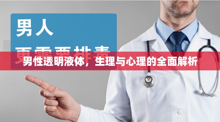 男性透明液體，生理與心理的全面解析