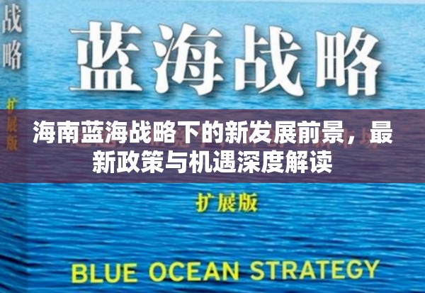 海南藍海戰(zhàn)略下的新發(fā)展前景，最新政策與機遇深度解讀