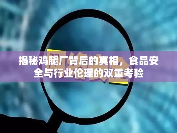 揭秘雞腿廠背后的真相，食品安全與行業(yè)倫理的雙重考驗(yàn)