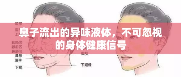 鼻子流出的異味液體，不可忽視的身體健康信號