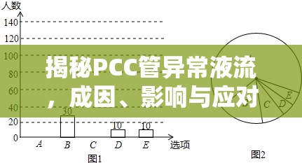 揭秘PCC管異常液流，成因、影響與應(yīng)對策略