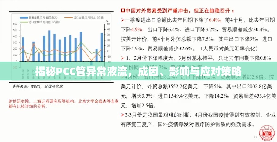 揭秘PCC管異常液流，成因、影響與應(yīng)對策略