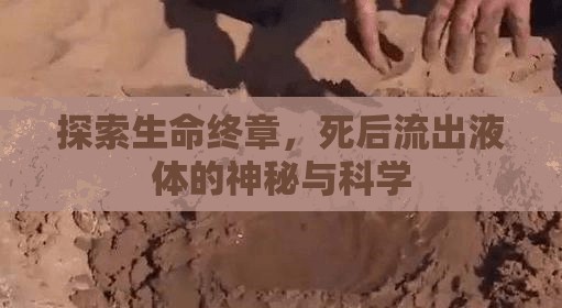 探索生命終章，死后流出液體的神秘與科學