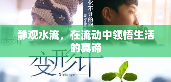 靜觀水流，在流動中領(lǐng)悟生活的真諦