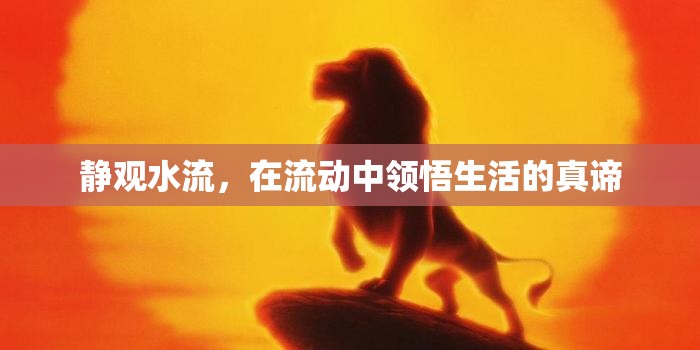 靜觀水流，在流動中領(lǐng)悟生活的真諦