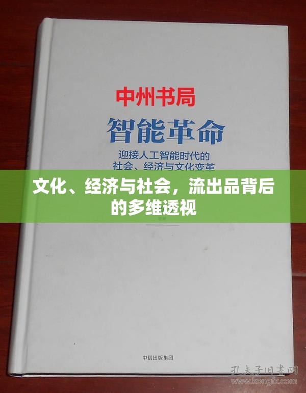 文化、經(jīng)濟(jì)與社會(huì)，流出品背后的多維透視