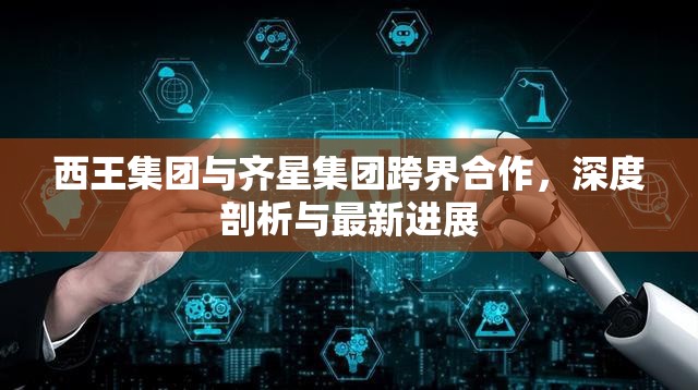 西王集團(tuán)與齊星集團(tuán)跨界合作，深度剖析與最新進(jìn)展
