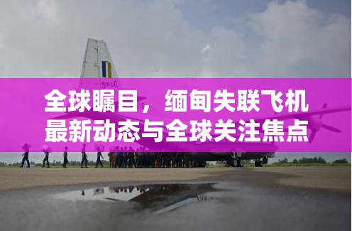 全球矚目，緬甸失聯(lián)飛機最新動態(tài)與全球關(guān)注焦點