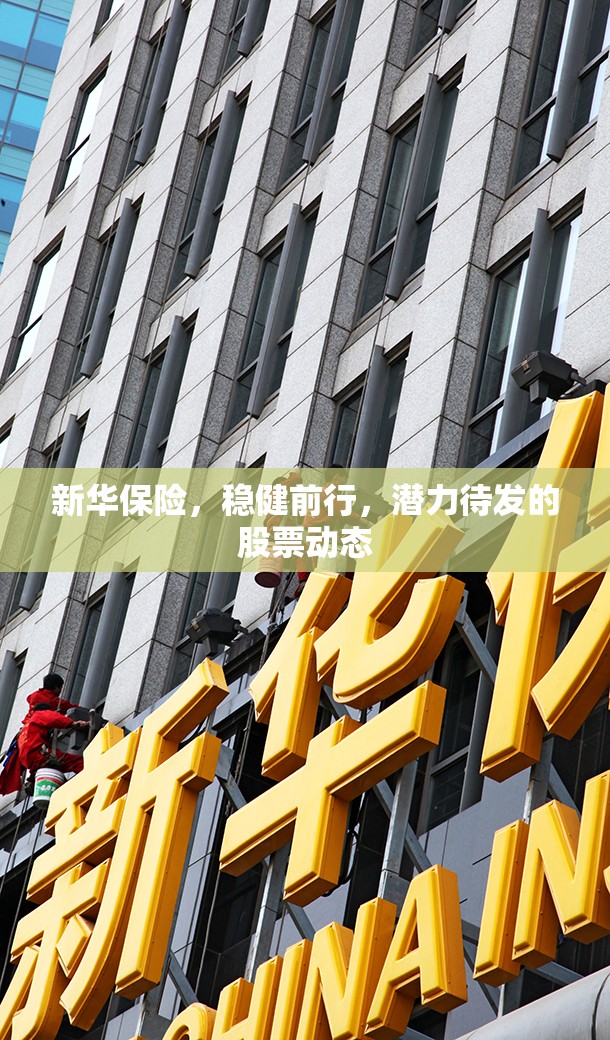 新華保險，穩(wěn)健前行，潛力待發(fā)的股票動態(tài)