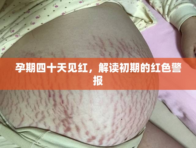 孕期四十天見紅，解讀初期的紅色警報