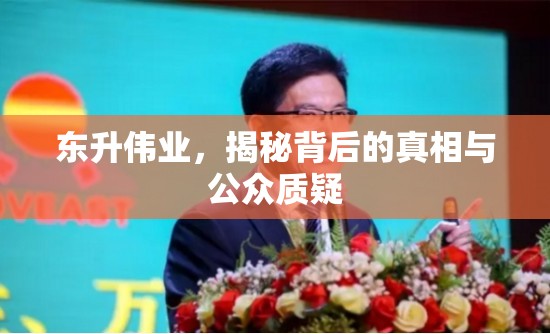 東升偉業(yè)，揭秘背后的真相與公眾質(zhì)疑