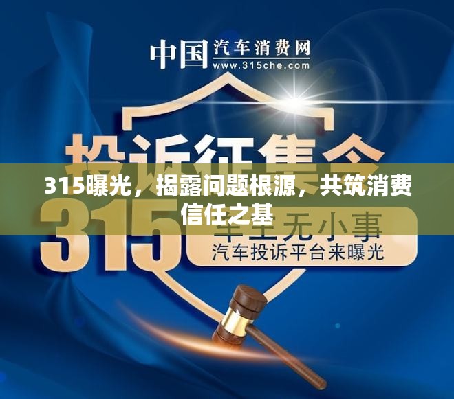 315曝光，揭露問(wèn)題根源，共筑消費(fèi)信任之基