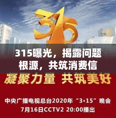 315曝光，揭露問(wèn)題根源，共筑消費(fèi)信任之基