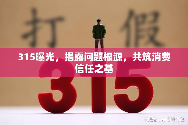 315曝光，揭露問(wèn)題根源，共筑消費(fèi)信任之基