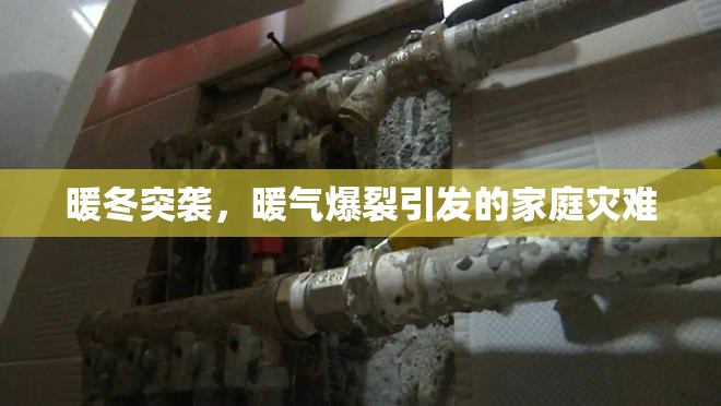 暖冬突襲，暖氣爆裂引發(fā)的家庭災難