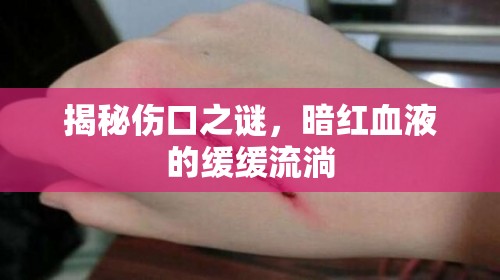 揭秘傷口之謎，暗紅血液的緩緩流淌