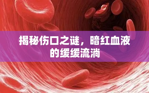 揭秘傷口之謎，暗紅血液的緩緩流淌