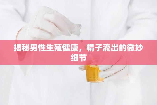 揭秘男性生殖健康，精子流出的微妙細(xì)節(jié)