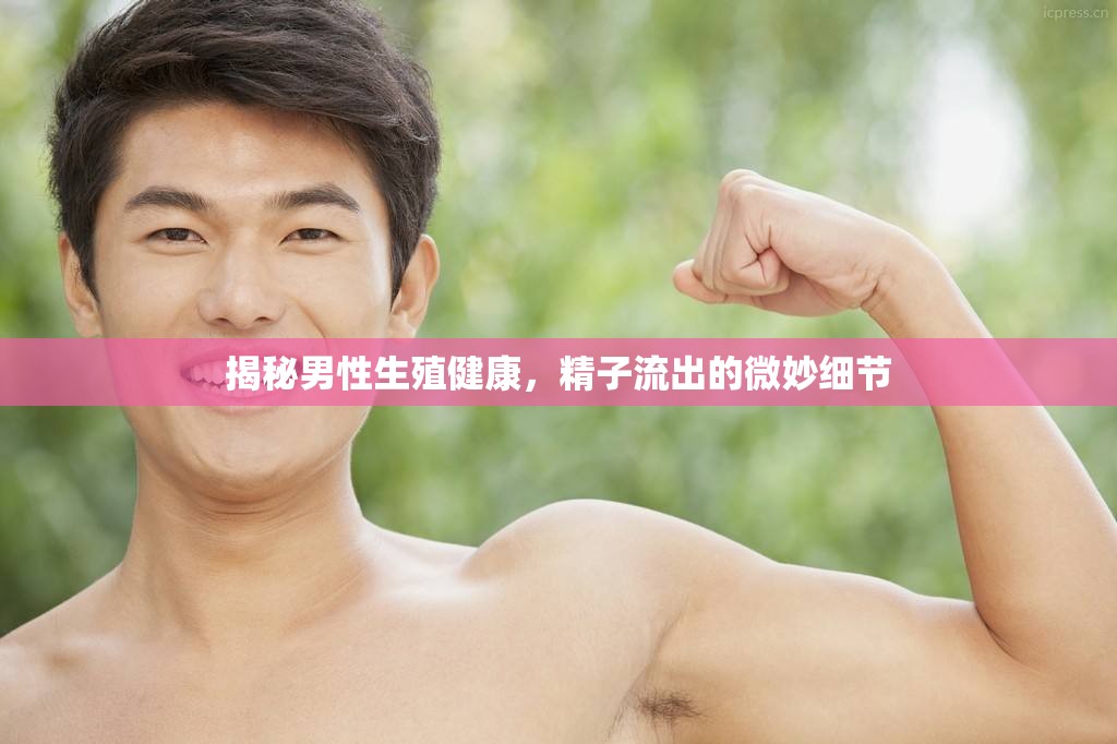 揭秘男性生殖健康，精子流出的微妙細(xì)節(jié)