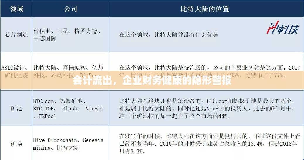 會(huì)計(jì)流出，企業(yè)財(cái)務(wù)健康的隱形警報(bào)