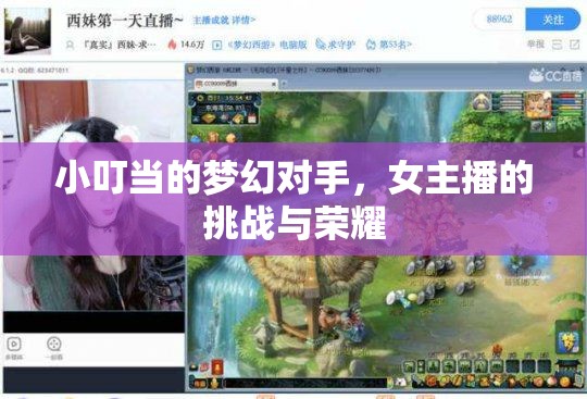 小叮當?shù)膲艋脤κ?，女主播的挑?zhàn)與榮耀