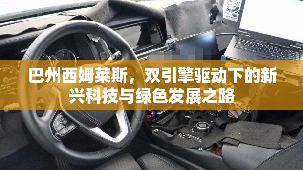 巴州西姆萊斯，雙引擎驅(qū)動(dòng)下的新興科技與綠色發(fā)展之路